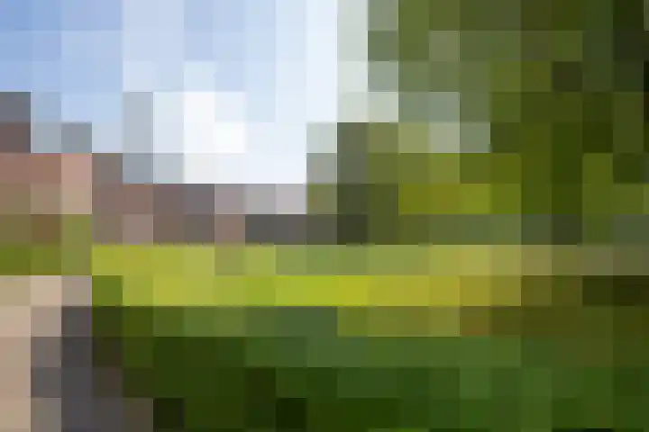 Fonteinkruidlaan 11 Enschede thumbnail 51