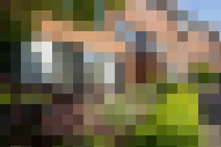 Fonteinkruidlaan 11 Enschede thumbnail 53