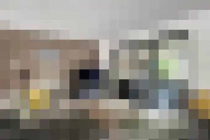 Fonteinkruidlaan 11 Enschede thumbnail 7
