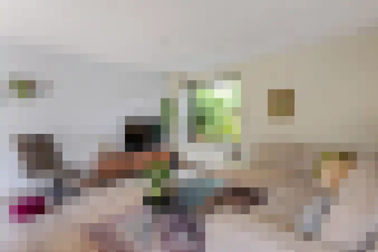 Fonteinkruidlaan 16 Enschede thumbnail 7