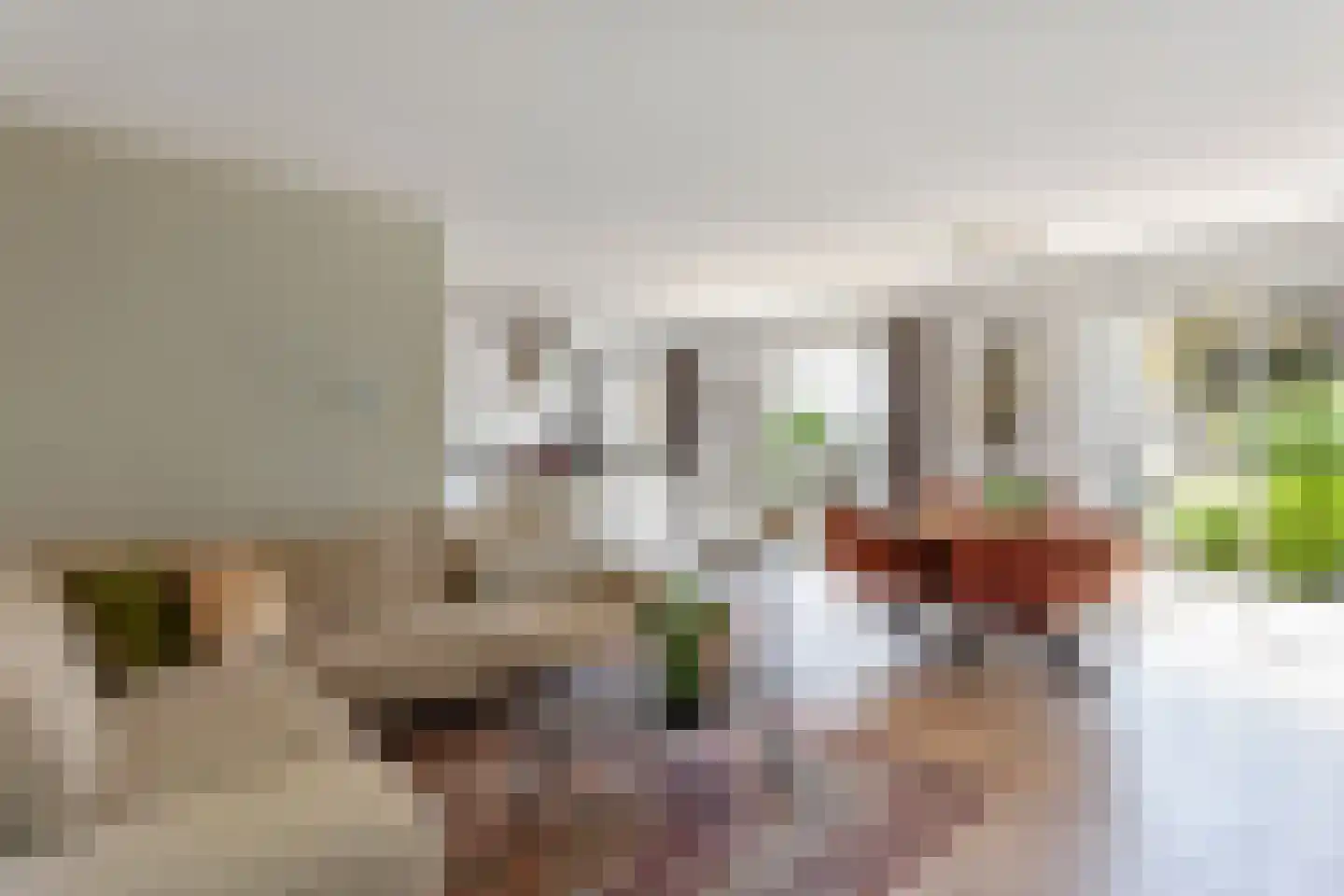 Fonteinkruidlaan 16 Enschede thumbnail 8