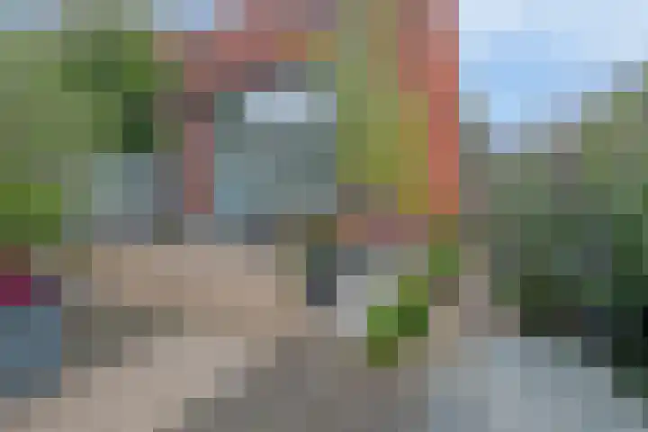 Fonteinkruidstraat 1 Arnhem thumbnail 30