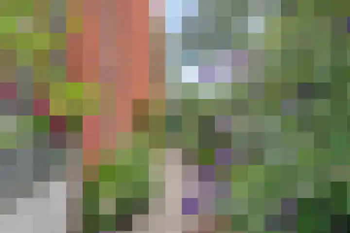 Fonteinkruidstraat 1 Arnhem thumbnail 36