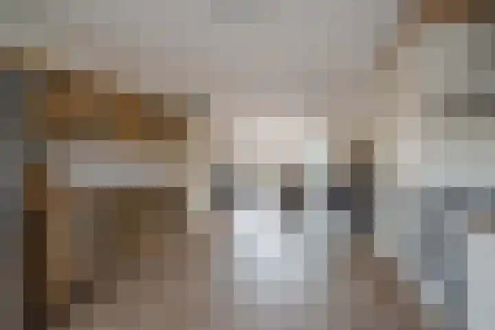 Fonteinkruidstraat 17 Den Haag thumbnail 9