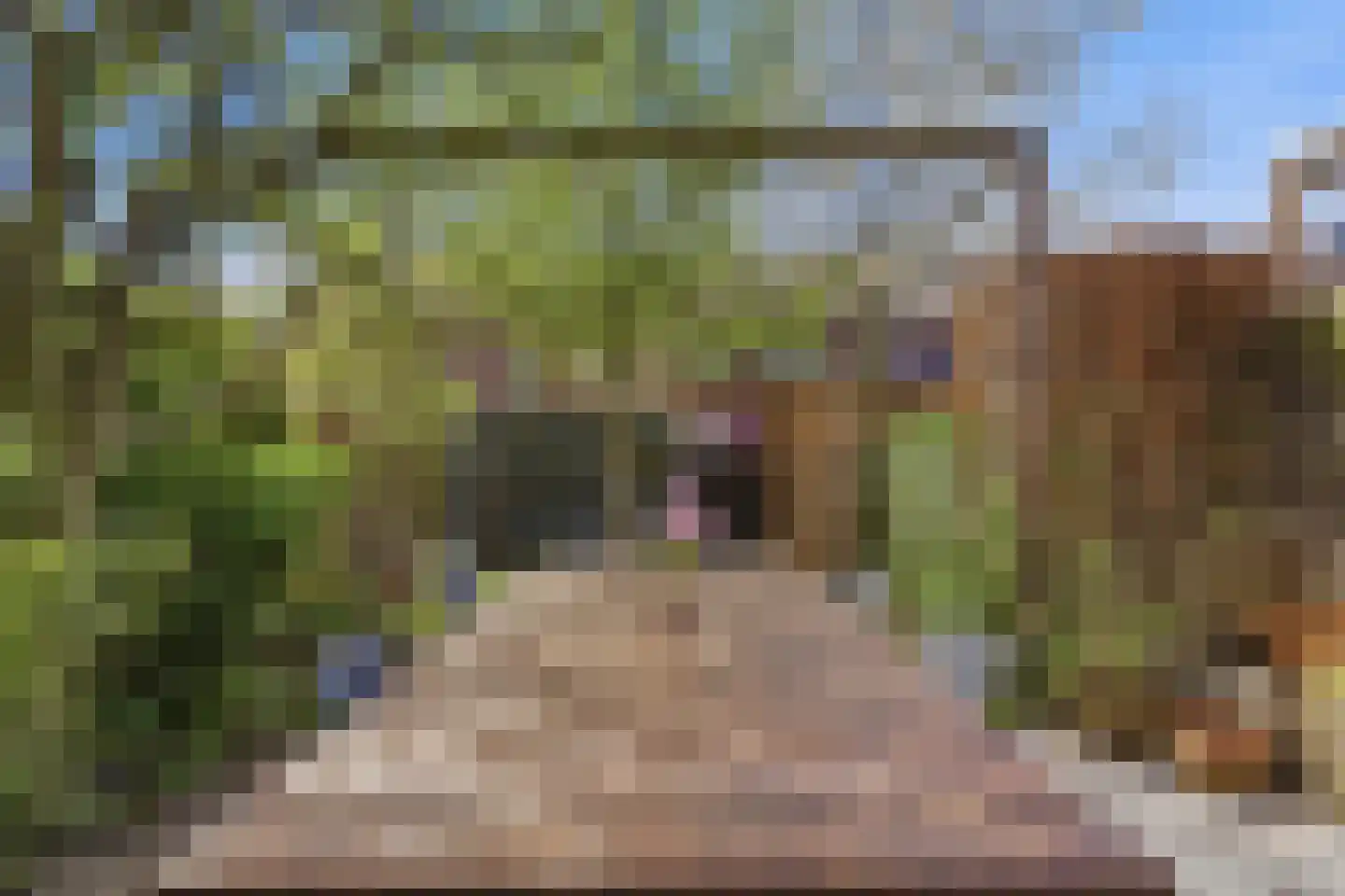 Fonteinkruidstraat 3 Arnhem thumbnail 16