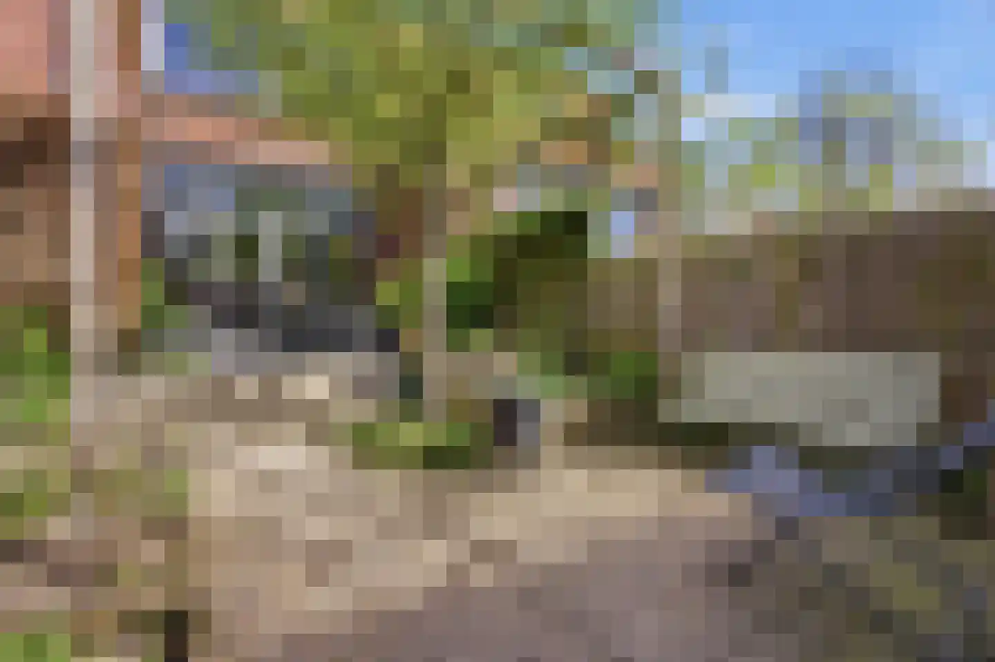Fonteinkruidstraat 3 Arnhem thumbnail 17