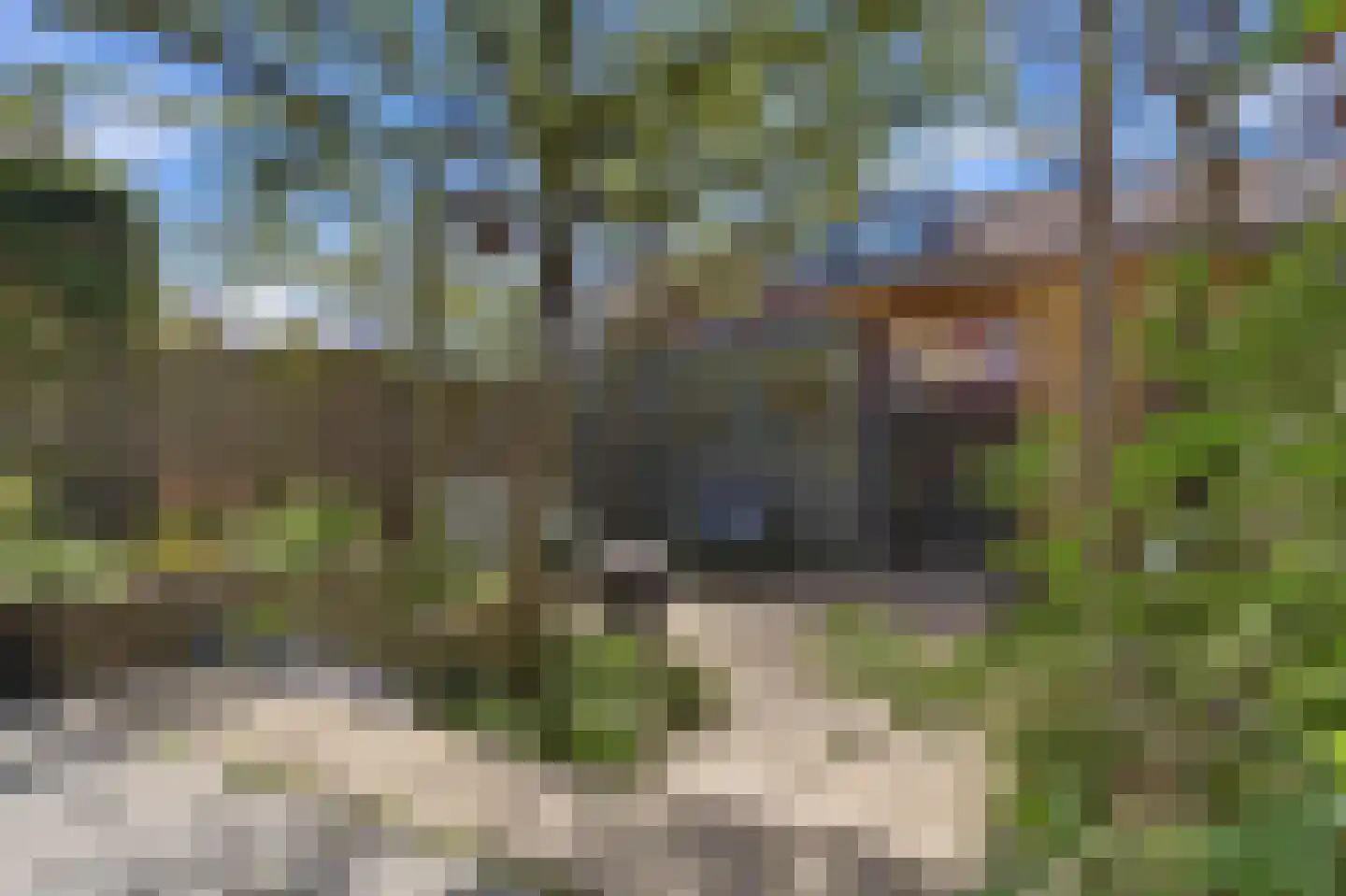 Fonteinkruidstraat 3 Arnhem thumbnail 19