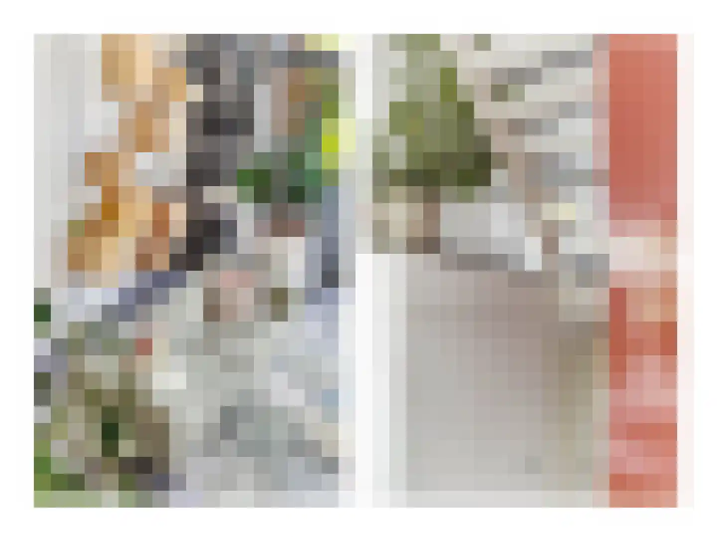 Fonteinkruidstraat 3 Arnhem thumbnail 22