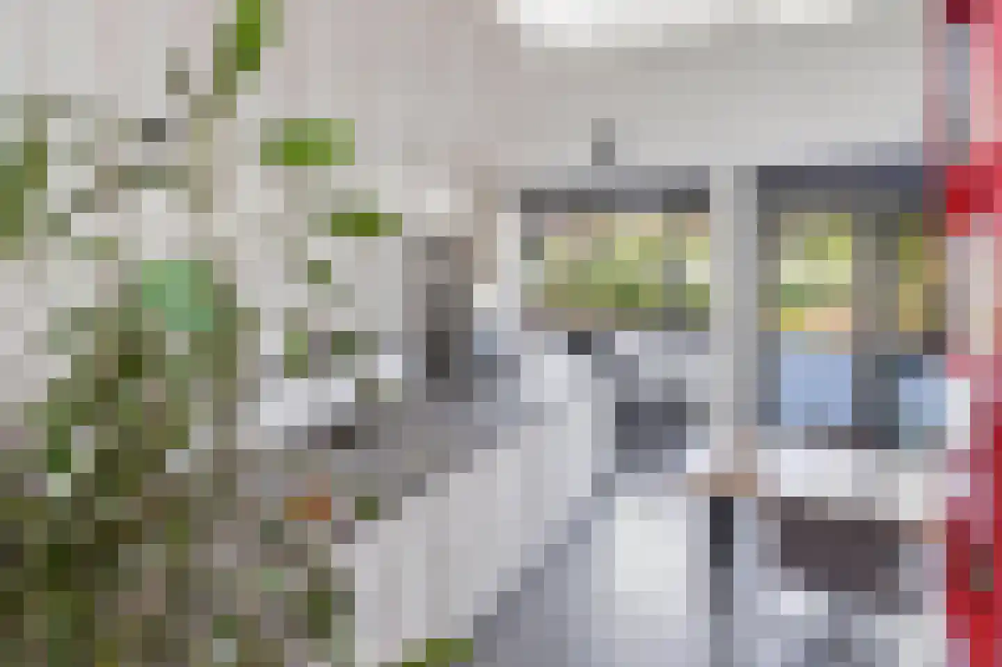 Fonteinkruidstraat 3 Arnhem thumbnail 30