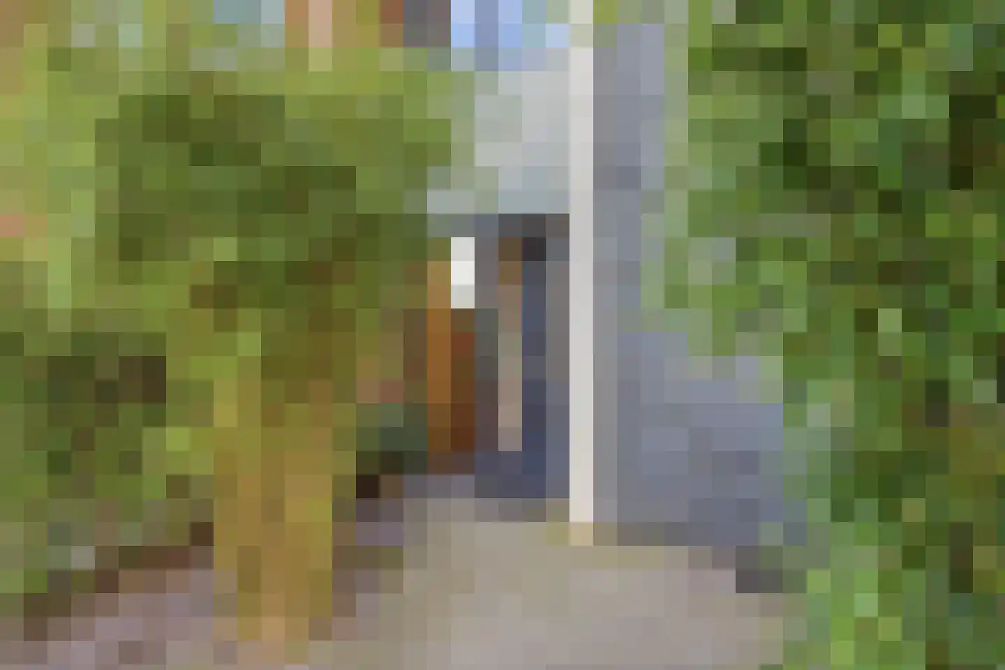 Fonteinkruidstraat 3 Arnhem thumbnail 4