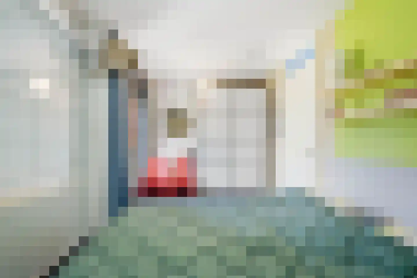 Fonteinkruidstraat 3 Arnhem thumbnail 44