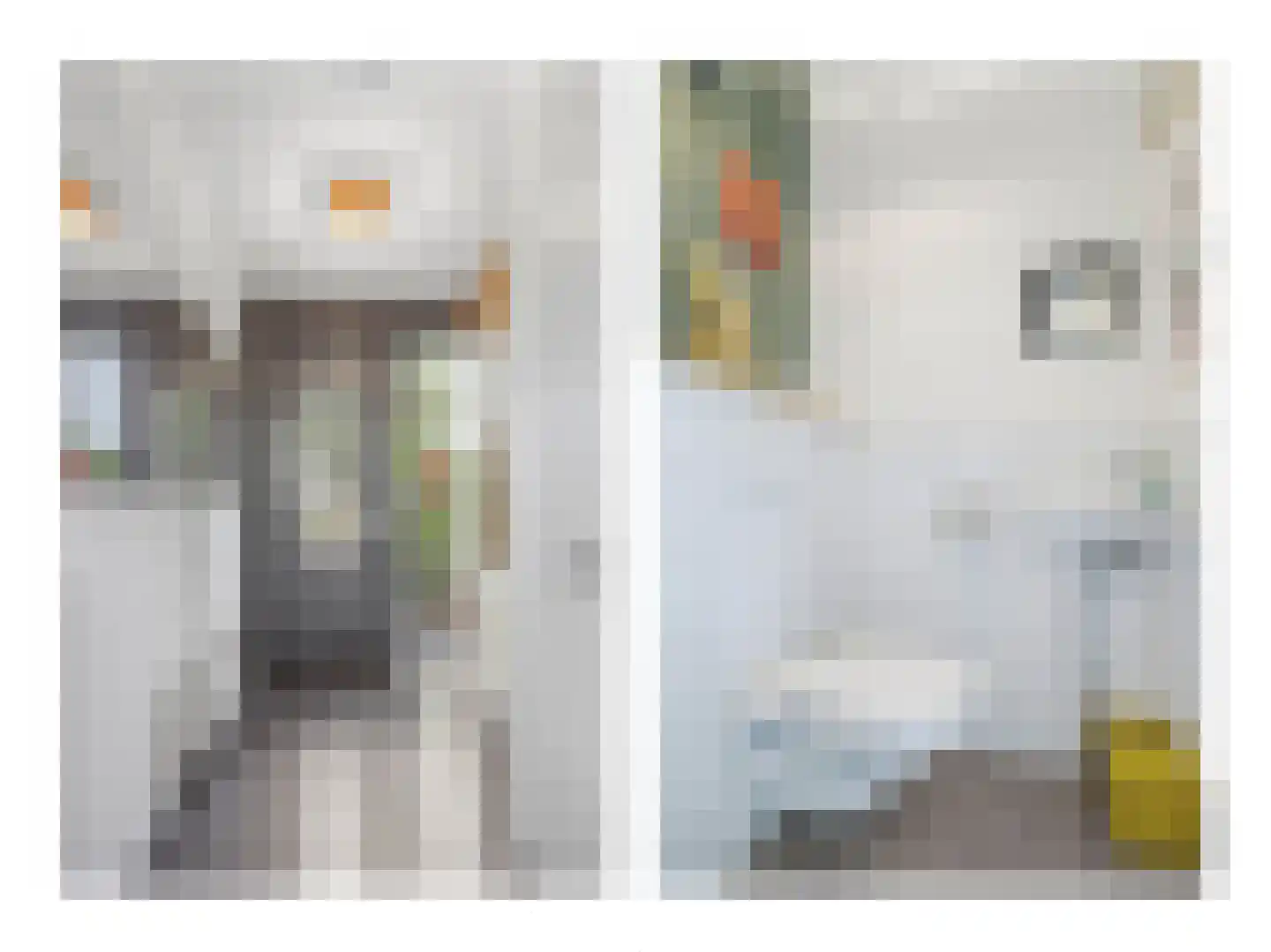 Fonteinkruidstraat 3 Arnhem thumbnail 51