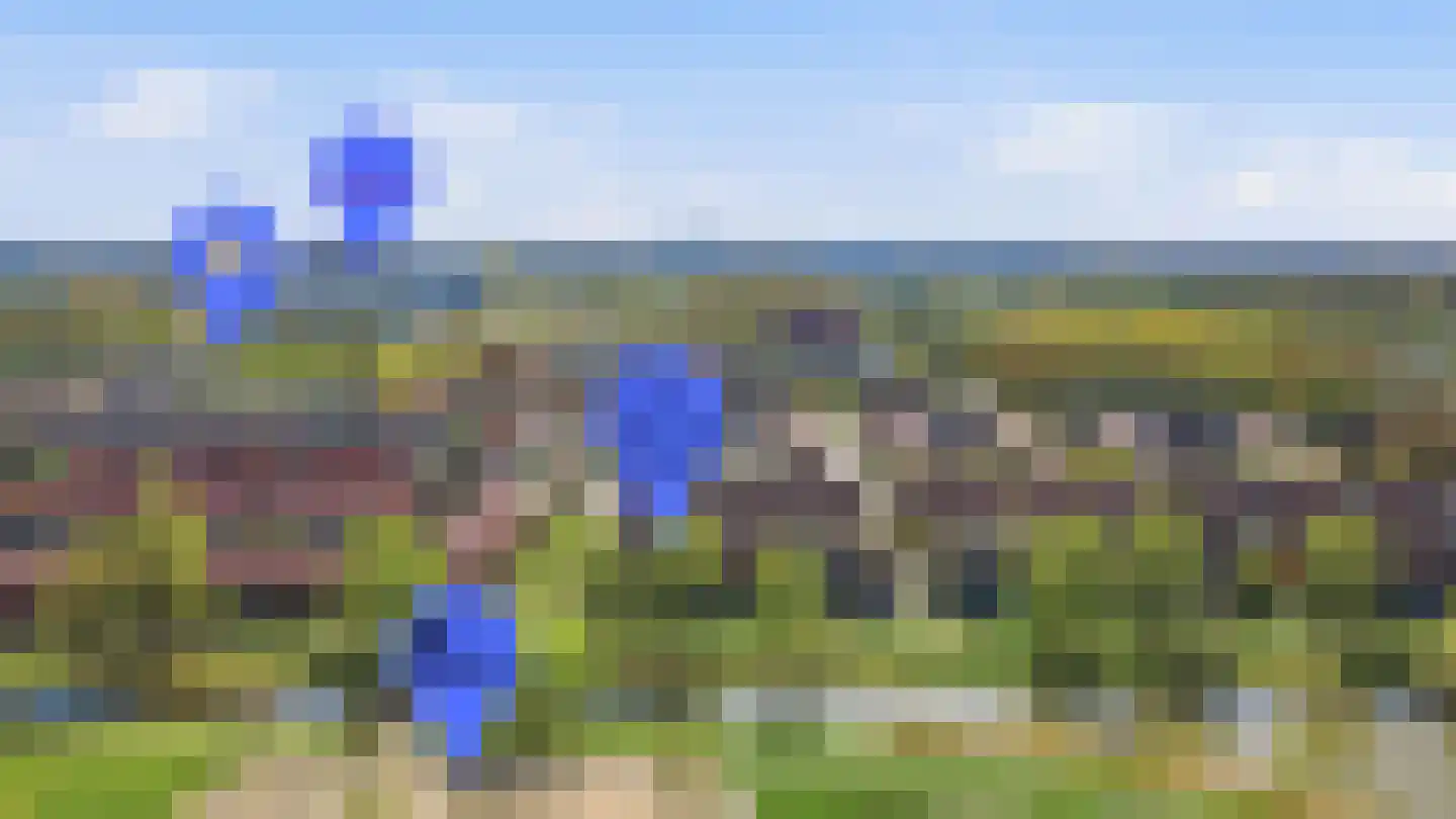 Fonteinkruidstraat 3 Arnhem thumbnail 68