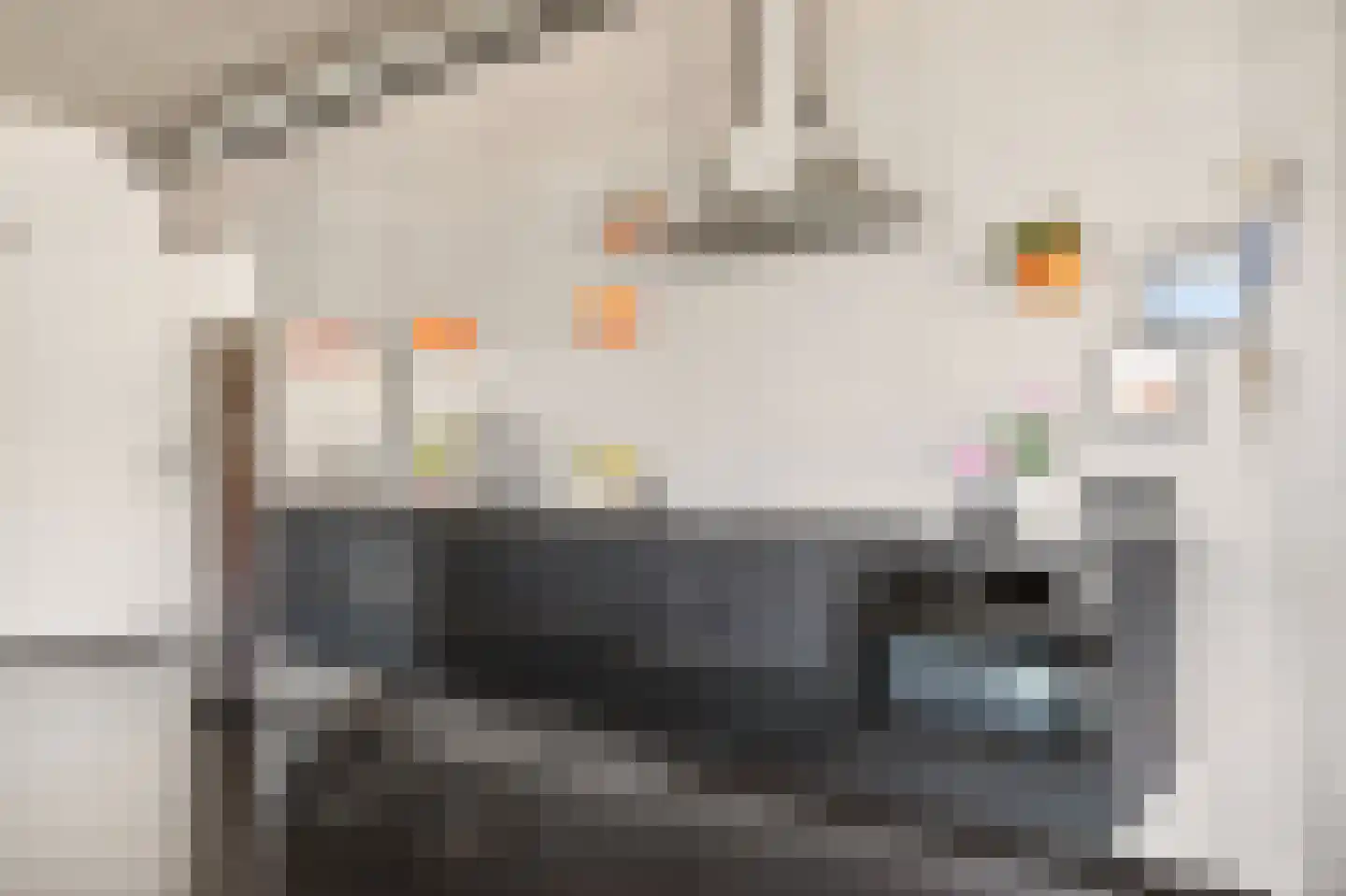 Fonteinkruidstraat 84 Amsterdam thumbnail 9