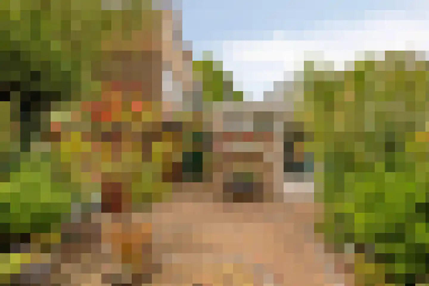 Fonteinkruidweg 5 Zaandam thumbnail 30