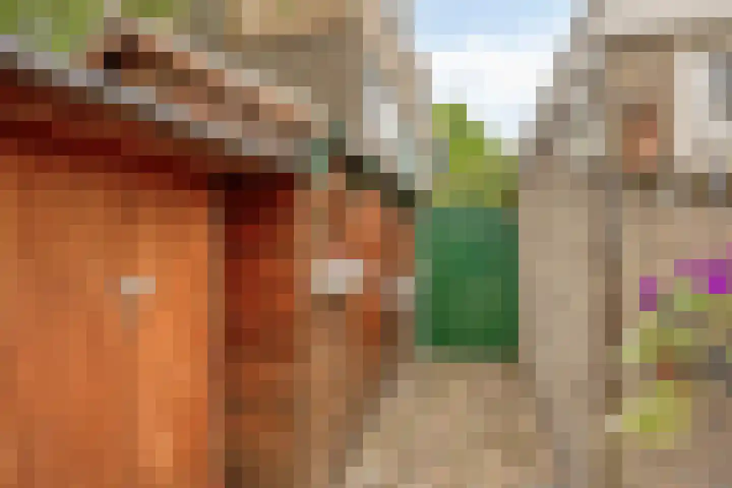 Fonteinkruidweg 5 Zaandam thumbnail 33