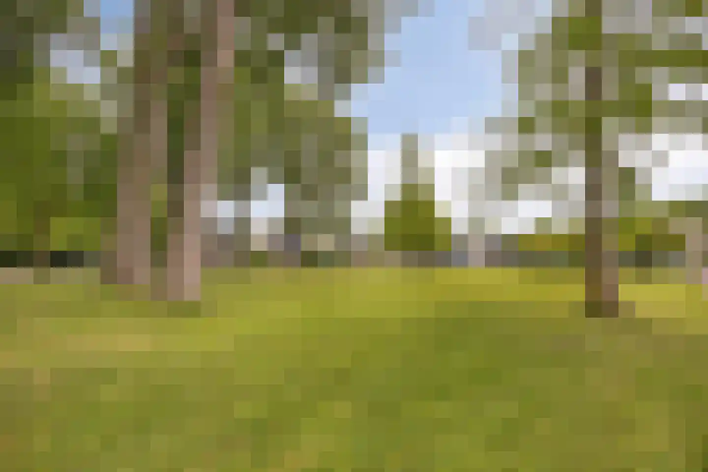 Fonteinkruidweg 5 Zaandam thumbnail 37