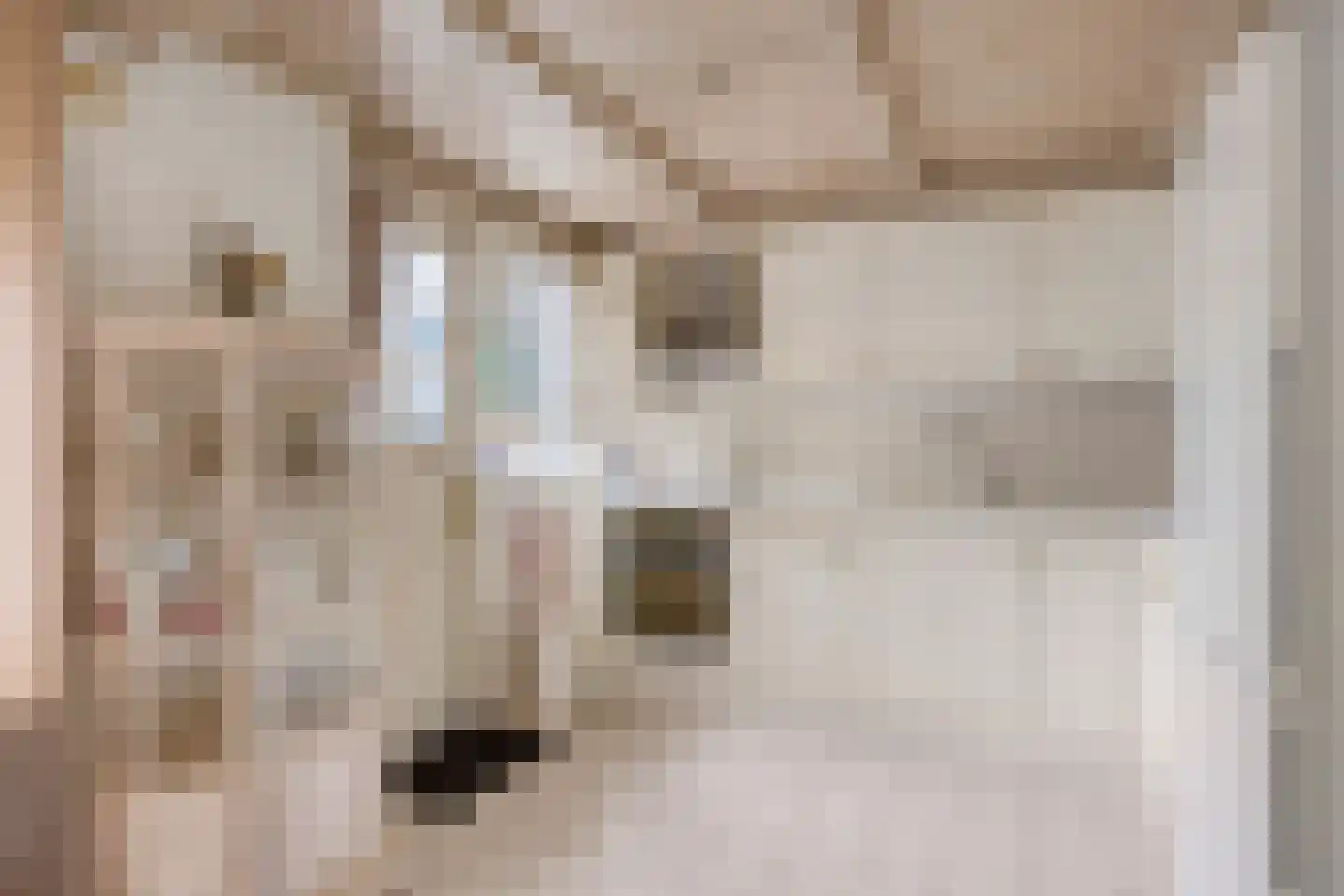 Fonteinkruidweg 5 Zaandam thumbnail 4