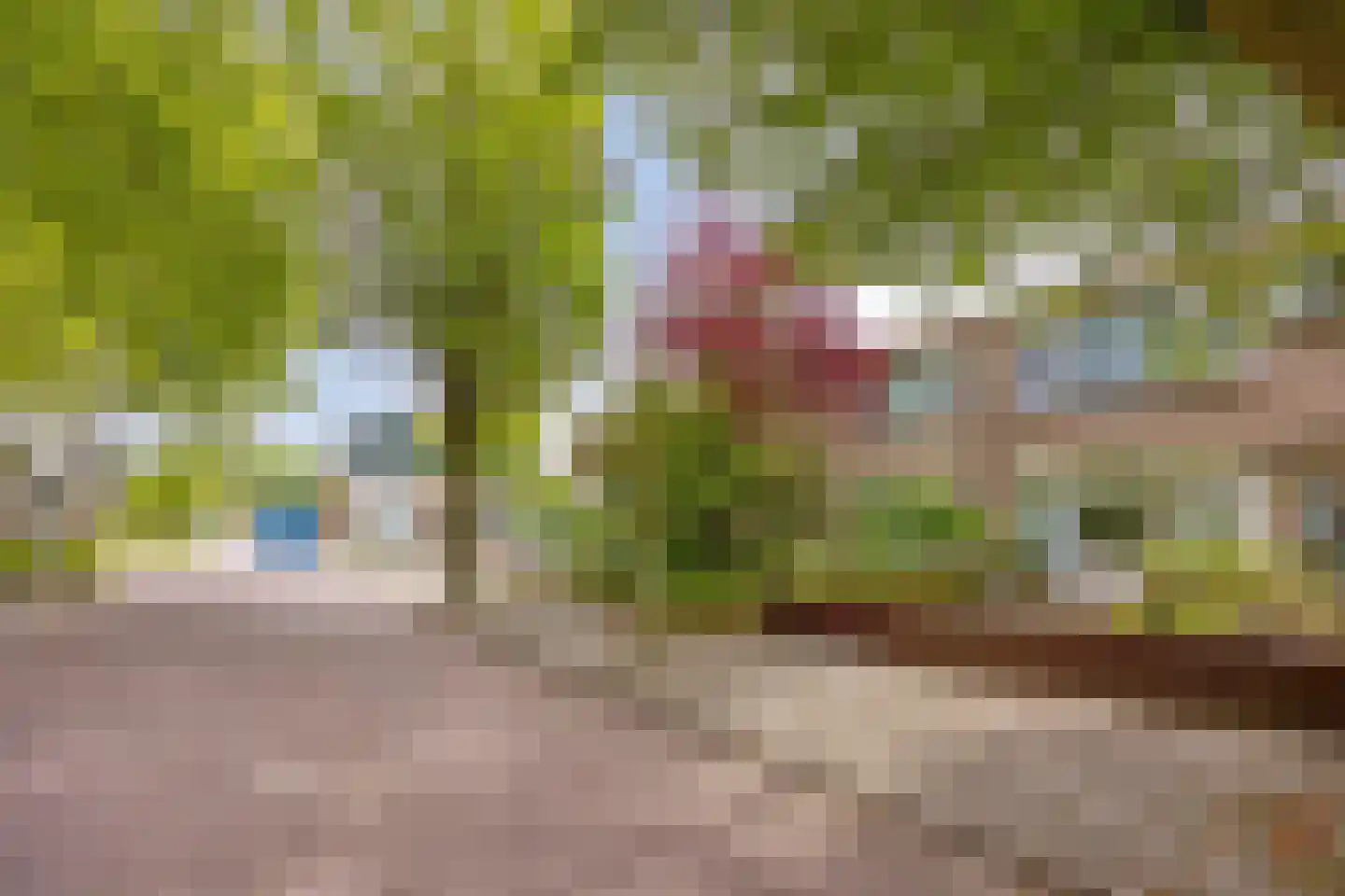Fonteinkruidweg 5 Zaandam thumbnail 40