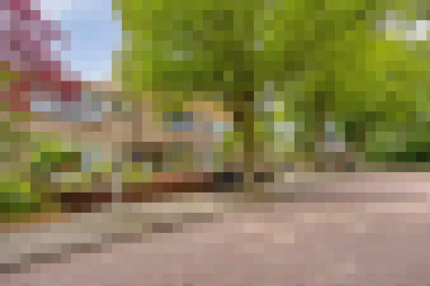 Fonteinkruidweg 5 Zaandam thumbnail 41