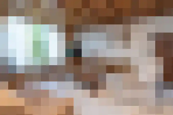 Fonteinstraat 24 Ootmarsum thumbnail 10