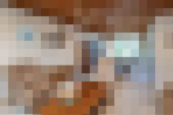Fonteinstraat 24 Ootmarsum thumbnail 11