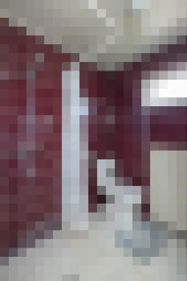 Fonteinstraat 24 Ootmarsum thumbnail 16