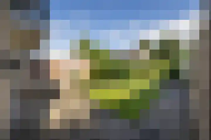 Fonteinstraat 24 Ootmarsum thumbnail 20