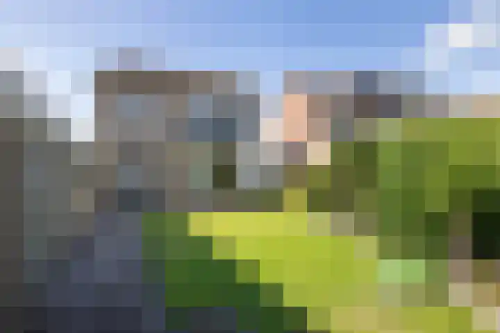 Fonteinstraat 24 Ootmarsum thumbnail 4