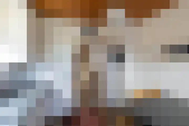 Fonteinstraat 24 Ootmarsum thumbnail 9