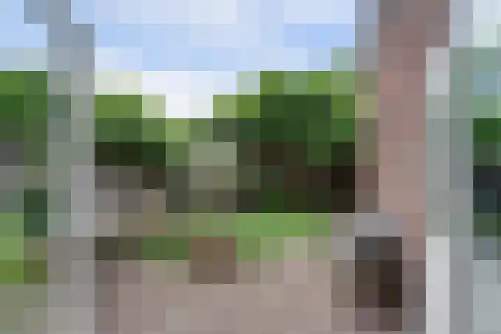 Fonteinstraat 25 Leeuwarden thumbnail 31