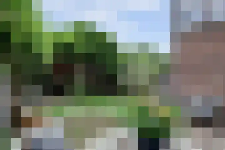 Fonteinstraat 25 Leeuwarden thumbnail 32