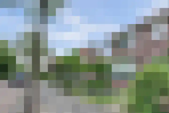 Fonteinstraat 25 Leeuwarden thumbnail 7