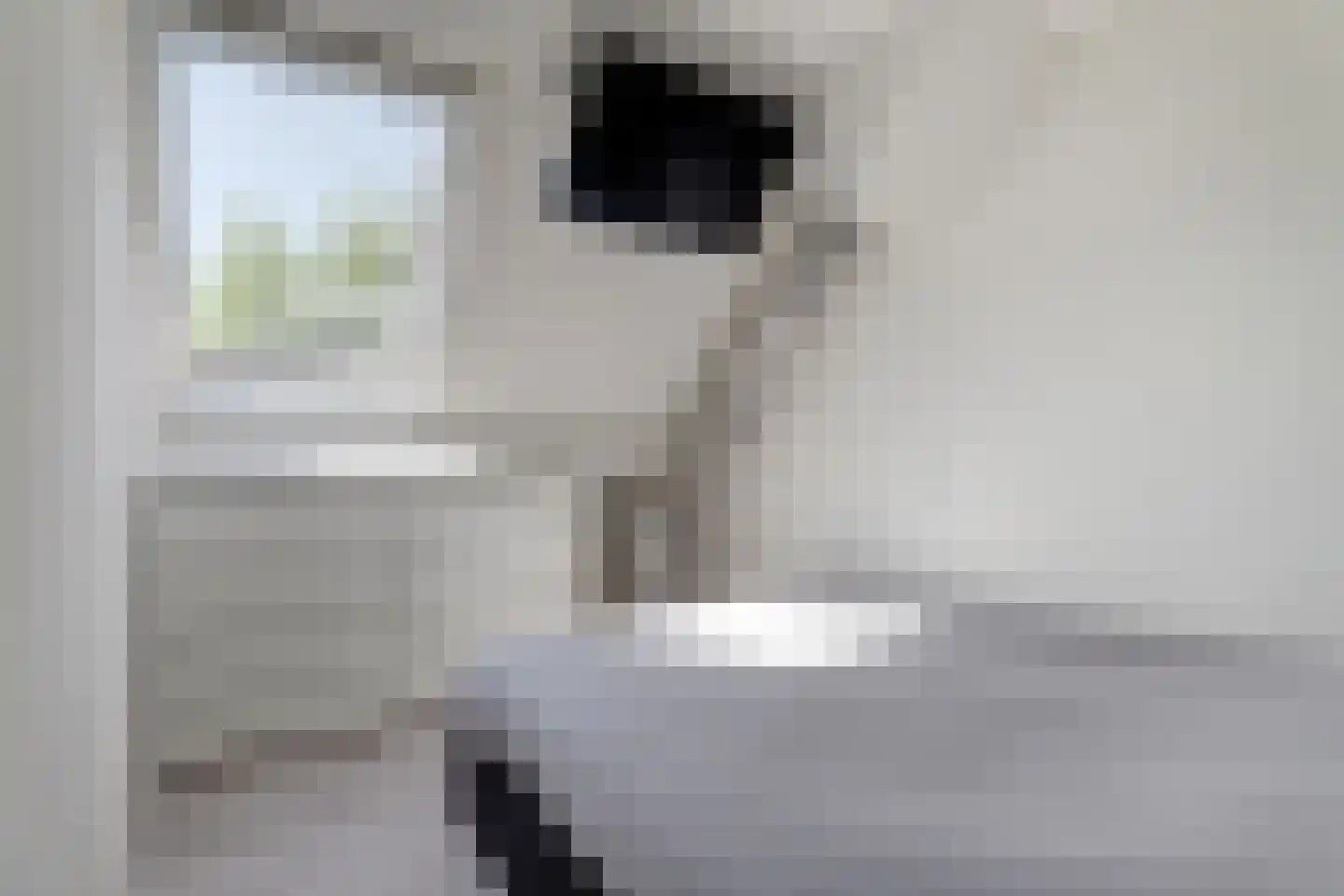 Fonteinstraat 5 Midlum thumbnail 15