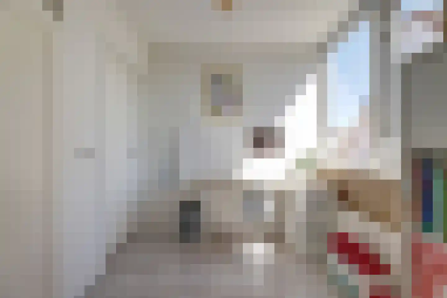 Fonteinstraat 5 Midlum thumbnail 17