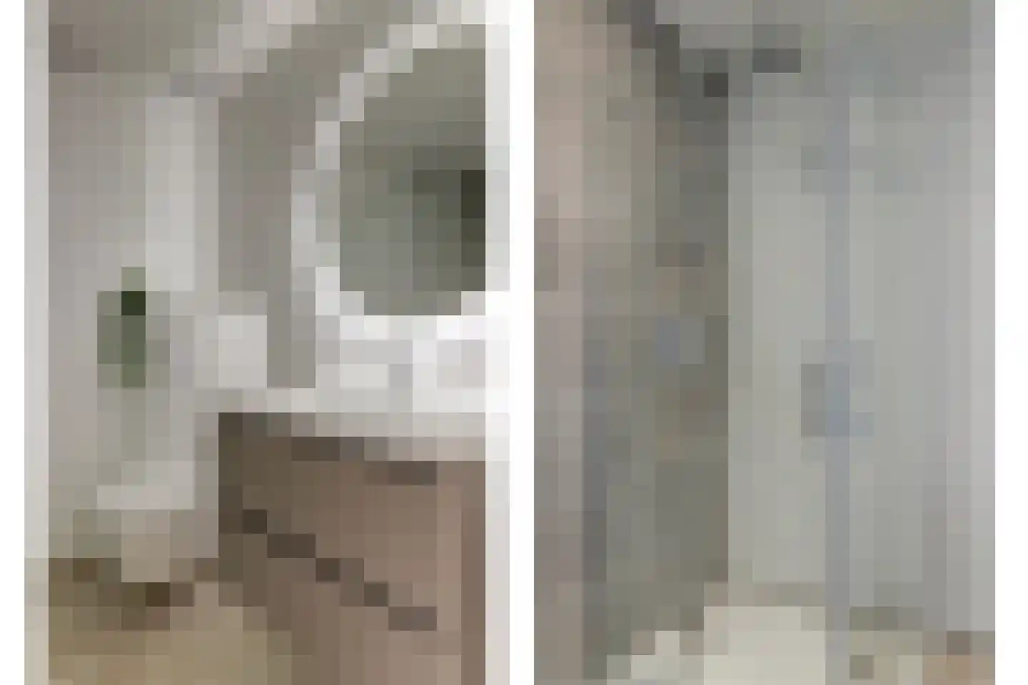 Fonteinstraat 5 Midlum thumbnail 22
