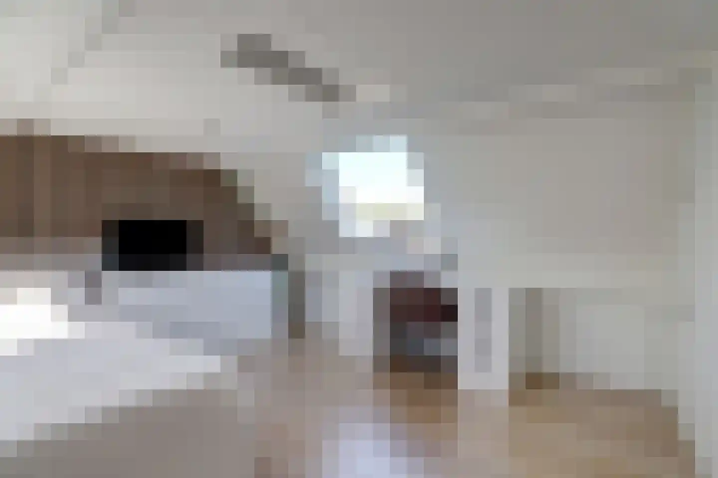 Fonteinstraat 5 Midlum thumbnail 24