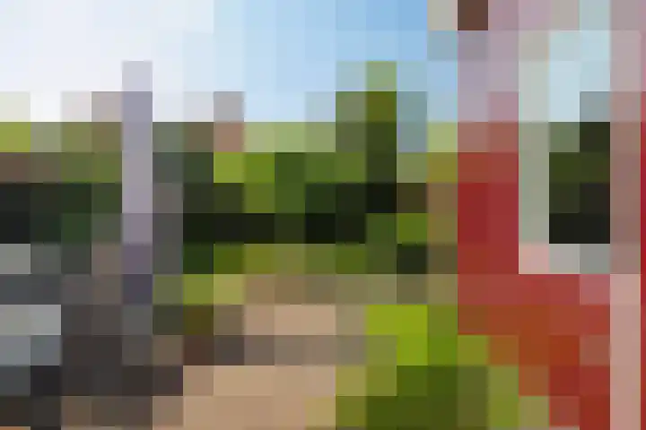 Fonteinstraat 77 Leeuwarden thumbnail 25