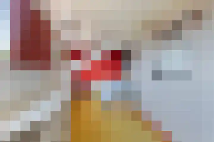 Fonteinstraat 77 Leeuwarden thumbnail 42