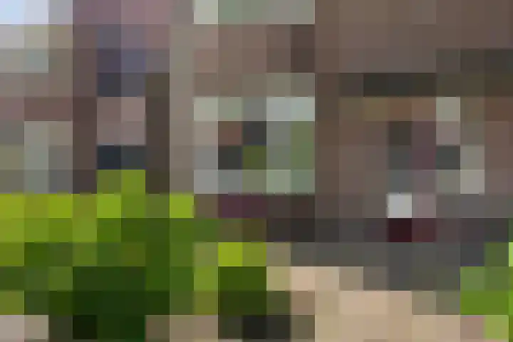 Fonteinstraat 77 Leeuwarden thumbnail 6