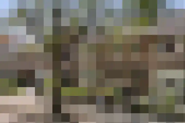 Fonteinstraat 77 Leeuwarden thumbnail 61