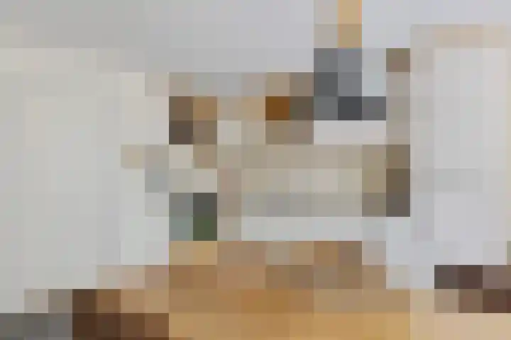 Fonteinstrjitte 12 Holwert thumbnail 10