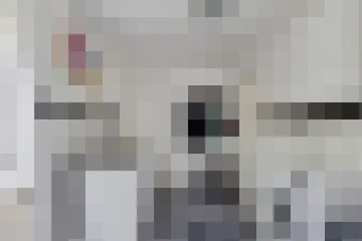 Fonteinstrjitte 12 Holwert thumbnail 13