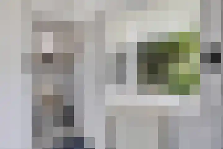 Fonteinstrjitte 12 Holwert thumbnail 16