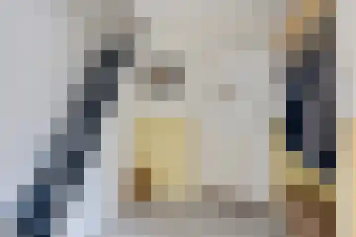 Fonteinstrjitte 12 Holwert thumbnail 17