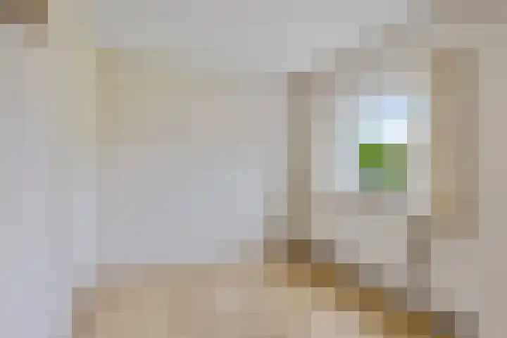 Fonteinstrjitte 12 Holwert thumbnail 24