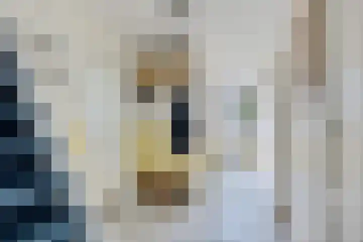 Fonteinstrjitte 12 Holwert thumbnail 6