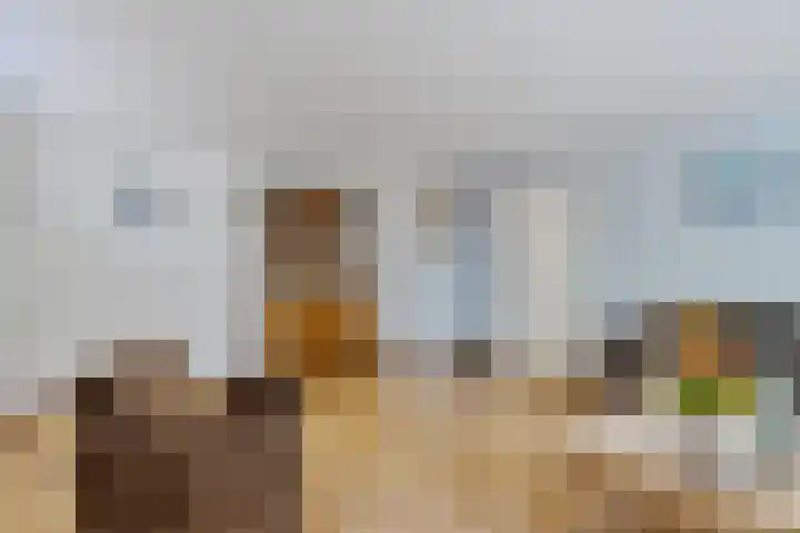 Fonteinstrjitte 12 Holwert thumbnail 9