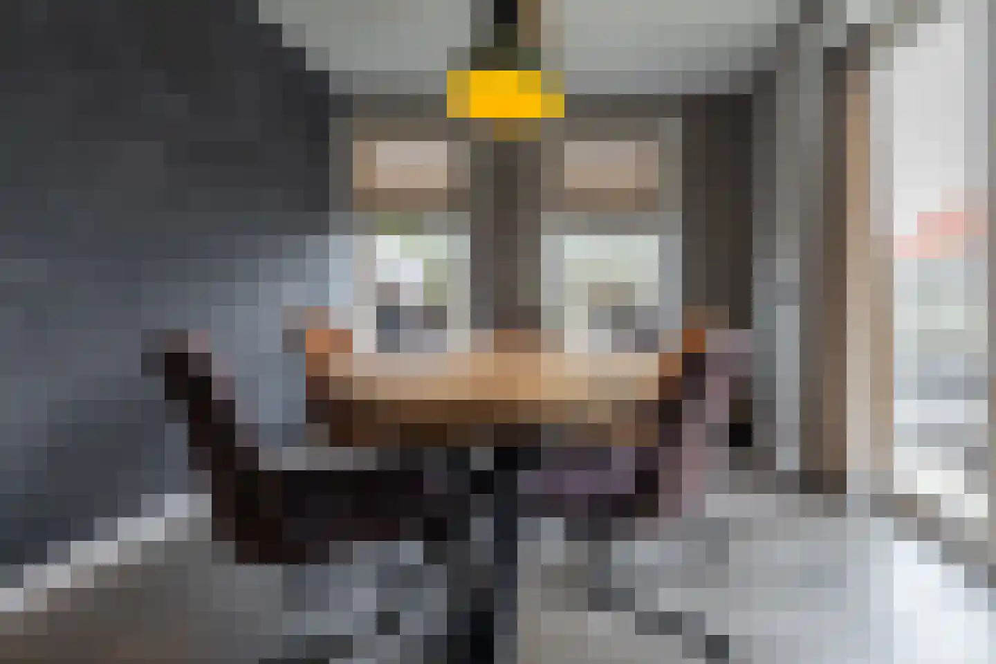 Fonteinstrjitte 45 Holwert thumbnail 13