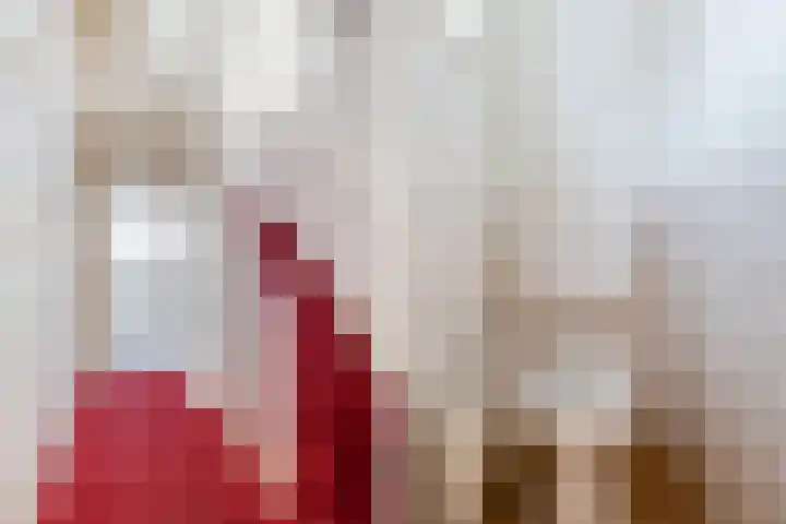 Fonteinstrjitte 46 Holwert thumbnail 16